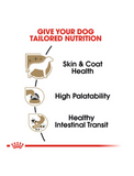 Royal Canin Chihuahua Dog pouch 85g 12 pouches | Perromart Online Pet Store Singapore