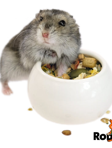 Rodipet Ceramic Bowl For Hamster 5.5 cm | Perromart Online Pet Store Singapore