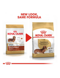 Royal Canin Dachshund Adult Dog Dry Food 1.5kg | Perromart Online Pet Store Singapore