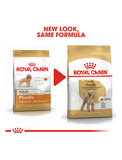 Royal Canin Poodle Adult Dog Dry Food 1.5kg | Perromart Online Pet Store Singapore