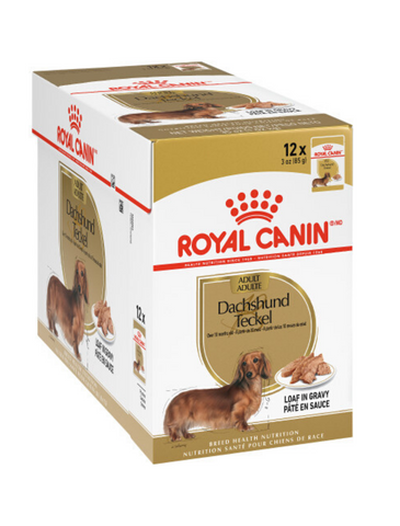 Royal Canin Dachshund Dog Pouch 85g 12 pouches | Perromart Online Pet Store Singapore