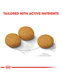 Royal Canin Medium Dermacomfort Dry Dog Food 2 Sizes | Perromart Online Pet Store Singapore