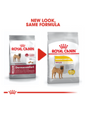 Royal Canin Medium Dermacomfort Dry Dog Food 2 Sizes | Perromart Online Pet Store Singapore