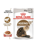 Royal Canin Feline Health Nutrition Ageing 12+ Wet Food for Cats 85g | Perromart Online Pet Store Singapore