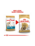 Royal Canin Shih Tzu Adult Dog Dry Food 1.5kg | Perromart Online Pet Store Singapore