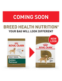 Royal Canin Golden Retriever Adult Dog Dry Food 2 Sizes | Perromart Online Pet Store Singapore