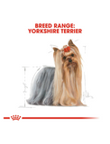 Royal Canin Yorkshire Terrier Adult Dog Dry Food 1.5kg | Perromart Online Pet Store Singapore