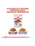 Royal Canin Feline Health Nutrition Instinctive Wet Food for Cats 85g | Perromart Online Pet Store Singapore