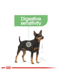 Royal Canin Mini Digestive Care Dry Dog Food 1kg | Perromart Online Pet Store Singapore