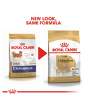 Royal Canin Chihuahua Adult Dry Dog Food 1.5kg | Perromart Online Pet Store Singapore