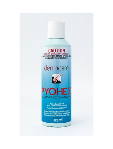 Dermcare PYOHEX Medicated Shampoo 250ml & 1litre | Perromart Online Pet Store Singapore