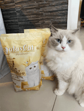 Aatas Cat Kofu Klump Tofu Cat Litter Tofu 6L | Perromart Online Pet Store Singapore