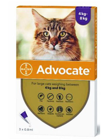 Bayer Advocate for Cats 4kg to 8kg | Perromart Online Pet Store Singapore