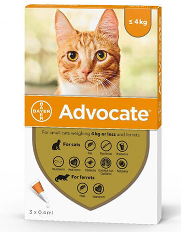 Bayer Advocate for Cats up to 4kg | Perromart Online Pet Store Singapore