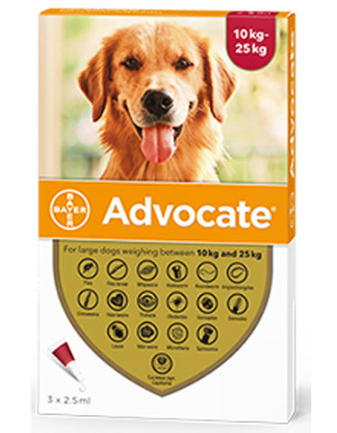 Bayer Advocate for Large Dogs 10kg to 25kg | Perromart Online Pet Store Singapore