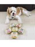 Bronco Chicken Pâté Dog Wet Food Tray 100g