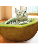 CattyMan Kiwifruit Cool Feel Bed | Perromart Online Pet Store Singapore