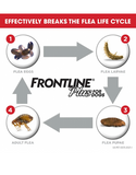 does frontline plus kill flea eggs?