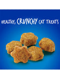 Fruitables Crunchy Chicken with Blueberry Cat Treats 2.5oz