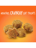 Fruitables Crunchy Tuna with Pumpkin Cat Treats 2.5oz