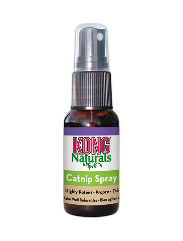 KONG Natural Catnip Spray 30ml | Perromart Online Pet Store