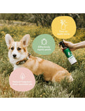 Kin+Kind Flea | Tick Spray For Dogs & Cats - 12oz 354ml | Perromart Online Pet Store Singapore