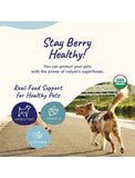 Kin+Kind Raw BerryBoost Supplement For Dogs & Cats 2 Sizes | Perromart Online Pet Store Singapore