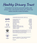 Kin+Kind Raw BerryBoost Supplement For Dogs & Cats 2 Sizes | Perromart Online Pet Store Singapore