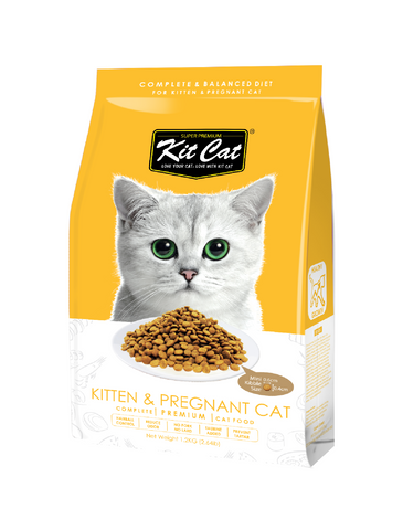 Kit Cat Premium Kitten & Pregnant Dry Cat Food | Perromart Online Pet Store Singapore