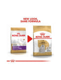 Royal Canin Maltese Adult Dog Dry Food 1.5kg | Perromart Online Pet Store Singapore