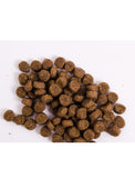 NutraGold Holistic Indoor Kitten Dry Cat Food | Perromart Online Pet Store Singapore