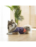Ohpopdog Heritage Baba Navy Hoodie for Dogs (6 Sizes) | Perromart Online Pet Store Singapore