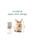 Oxbow Enriched Life Apple Stick Dangly For Small Pets