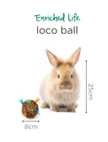 Oxbow Enriched Life Loco Ball For Small Pets | Perromart Online Pet Store Singapore