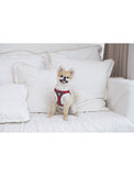 Puppia Blitzen Red Christmas X- Harness for Dogs (4 Sizes) | Perromart Online Pet Store Singapore