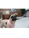 Puppia Pink Clement Dog Harness (3 Sizes) | Perromart Online Pet Store Singapore