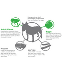 Revolution For Small Dogs (5-10kg)