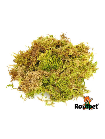 Rodipet Snugglemoss For Hamster 50g | Perromart Online Pet Store Singapore