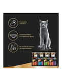 Sheba Melty Katsuo & Katsuo and Salmon Cat Treats 48g | Perromart Online Pet Store Singapore