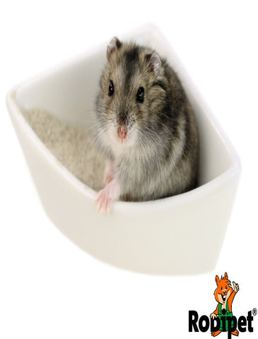 Rodipet Ceramic Corner Toilet for Hamsters and Gerbils(2 Sizes)