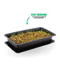 Vitakraft Cat Grass 120g