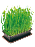 Vitakraft Cat Grass 120g