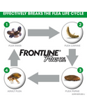 Frontline Plus for Cats (2 Sizes)